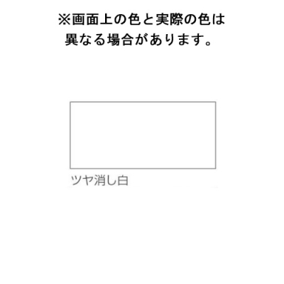 アスペンラッカースプレー　300mL　ツヤ消し白 (48本)