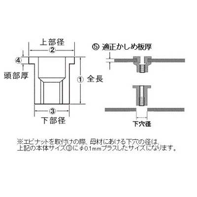 エビナット スティール製(凸頭)　エコパック(30本入)