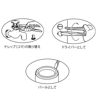 アンギラス　250mm