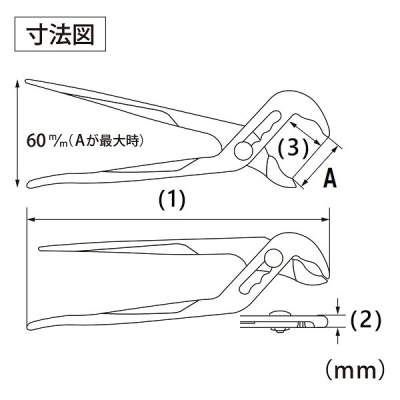 アンギラス　250mm