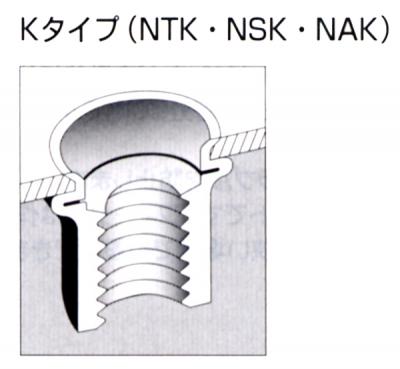 エビ/ロブテックス エビナット ステン製(皿頭) BOX（200本入） NTK