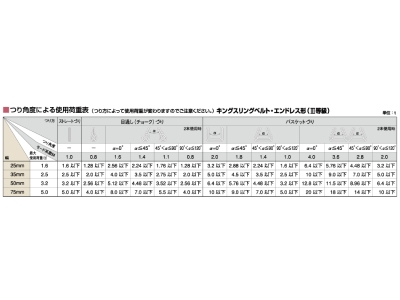 トーヨーセフティー キングスリングベルト エンドレス形 KSET-50-50